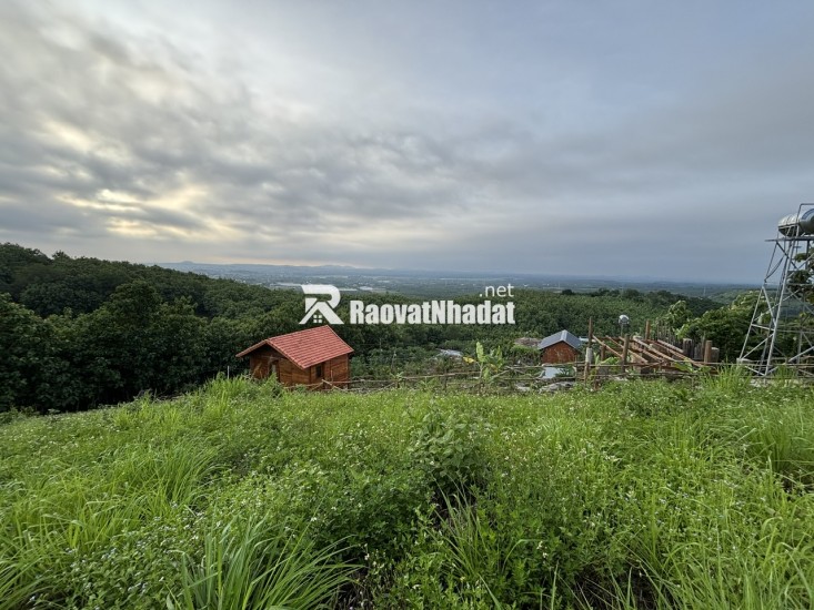 Đất Đẹp La Ngà – Sổ Riêng, View Chill, Đường Ô Tô – Chính Chủ Sang Nhượng
